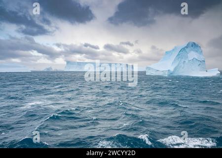 Iceberg nella baia di Cooper e nel fiordo di Drygalski, nell'isola della Georgia del Sud, numerosi a causa della rottura della piattaforma di ghiaccio antartica, scolpita dalle onde durante il viaggio Foto Stock