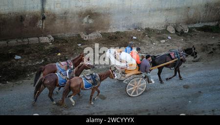 Carrozza turistica a cavallo in Egitto. Carrozza turistica a cavallo in Egitto. Carrozza con un operatore locale e persone che trainano il carrello, carrozza turistica a cavallo Foto Stock