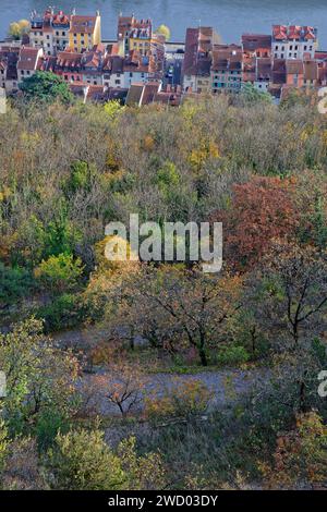 GRENOBLE, FRANCIA, 29 novembre 2023: Old Saint-Laurent District e le banchine del fiume Isere viste dalla collina della Bastiglia con colori autunnali sugli alberi Foto Stock