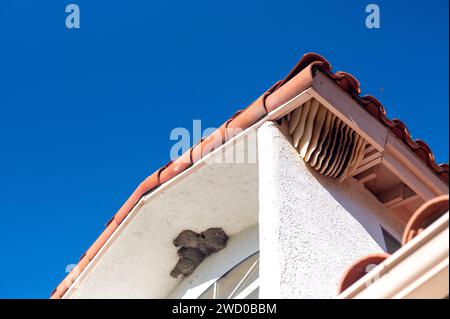 Nido di uccelli e alveare sotto il tetto Foto Stock