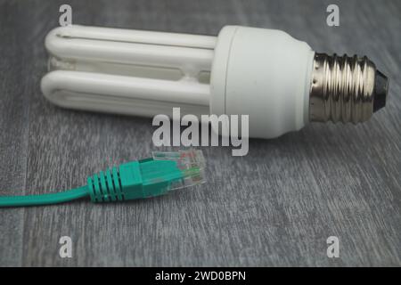 Lampada a risparmio energetico e spina di rete, immagine simbolica per la casa intelligente Foto Stock