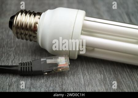 Lampada a risparmio energetico e spina di rete, immagine simbolica per la casa intelligente Foto Stock