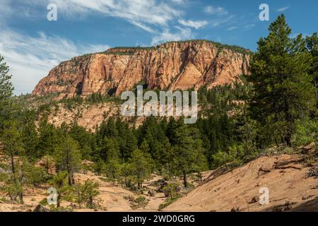 Il Connector Trail si snoda attraverso il Sandstone Canyon a Zion Foto Stock