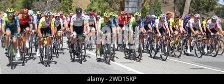 I piloti che si avvicinano al traguardo del King of the Mountain nella terza tappa del Tour Down Under 2024 a Houghton, sulle colline di Adelaide, nell'Australia meridionale Foto Stock
