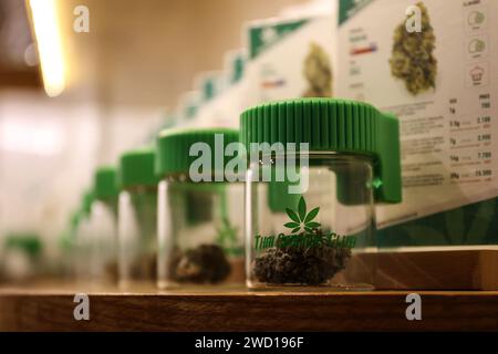 Bangkok, Thailandia. 17 gennaio 2024. Cannabis in vendita in un dispensario di cannabis nel distretto di Nana a Bangkok, Thailandia, 17 gennaio 2024. Il nuovo governo thailandese ha introdotto un disegno di legge per modificare l'attuale legislazione sulla cannabis al fine di vietare l'uso ricreativo della cannabis dopo che il paese ha depenalizzato la cannabis ricreativa nel 2022. (Immagine di credito: © Valeria Mongelli/ZUMA Press Wire) SOLO USO EDITORIALE! Non per USO commerciale! Foto Stock