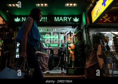 Bangkok, Thailandia. 17 gennaio 2024. Una donna passa davanti a un dispensario di cannabis nel distretto di Nana a Bangkok, Thailandia, 17 gennaio 2024. Il nuovo governo thailandese ha introdotto un disegno di legge per modificare l'attuale legislazione sulla cannabis al fine di vietare l'uso ricreativo della cannabis dopo che il paese ha depenalizzato la cannabis ricreativa nel 2022. (Immagine di credito: © Valeria Mongelli/ZUMA Press Wire) SOLO USO EDITORIALE! Non per USO commerciale! Foto Stock