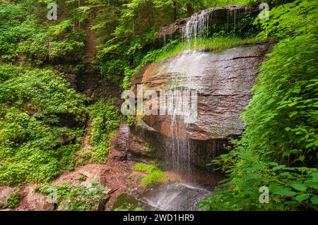 Buttermilk Falls State Park nello Stato di New York, USA Foto Stock