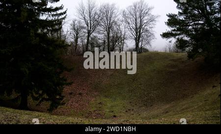 Miniera, campo di battaglia di Verdun, Les Eparges, Mosa, regione Grand-Est, Francia Foto Stock