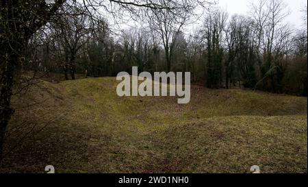 Miniera, campo di battaglia di Verdun, Les Eparges, Mosa, regione Grand-Est, Francia Foto Stock