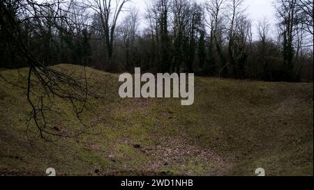 Miniera, campo di battaglia di Verdun, Les Eparges, Mosa, regione Grand-Est, Francia Foto Stock