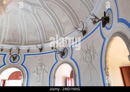 Palchi di cervo su un muro nella sala cervi all'interno del Palazzo Nazionale di pena a Sintra, Portogallo. Foto Stock