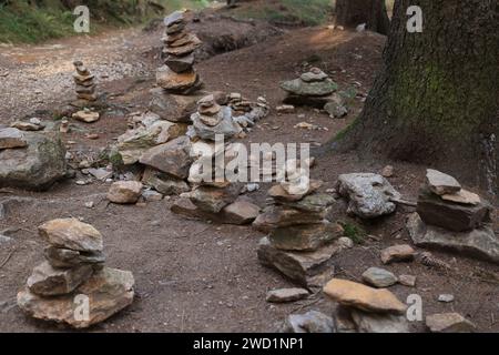 Herbst am großen Osser im Bayerischen Wald Foto Stock