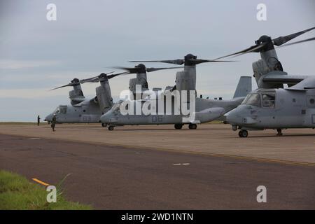 Quattro MV-22 Ospreys atterrano in Australia. Foto Stock