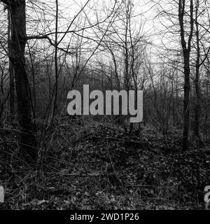 Verdun Battlefield, Les Eparges, Mosa, regione Grand-Est, Francia Foto Stock