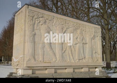 Sarkophag mit Steinrelief, Thema: Zerstörung und Leiden in der Sowjetunion, Sowjetisches Ehrenmal, Winter, Treptower Park, Treptow, Treptow-Köpenick, Berlino, Deutschland Sarkophag mit Steinrelief, Thema: Zerstörung und Leiden in der Sowjetunion, Sowjetisches Ehrenmal, Winter, Treptower Park, Treptow, Treptow-Köpenick, Berlino, Deutschland *** Sarcofago con rilievo in pietra, distruzione a tema e sofferenza in Unione Sovietica, memoriale sovietico, Inverno, Parco Treptower, Treptow, Treptow Köpenick, Berlino, Germania Sarcofago con rilievo in pietra, distruzione a tema e sofferenza in Unione Sovietica, Sovi Foto Stock