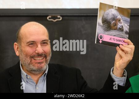 Praga, Repubblica Ceca. 18 gennaio 2024. Miroslav Bobek, direttore dello zoo di Praga, sorride durante la conferenza stampa tenutasi a Praga, Repubblica Ceca, il 18 gennaio 2024. Il gorilla di pianura occidentale giovane, nato nello zoo di Praga due settimane fa, è femmina, come ha confermato un esame del sangue del cordone ombelicale, ha detto Miroslav Bobek ai giornalisti. Crediti: Michal Kamaryt/CTK Photo/Alamy Live News Foto Stock