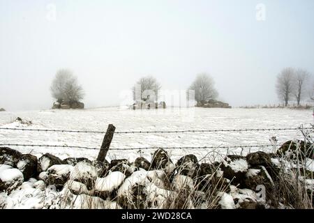 Altopiano di Aubrac. Fili spinato e muro di pietra in inverno. Lozere. Occitanie. Francia Foto Stock