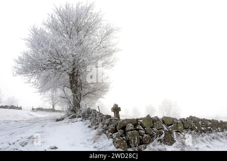 Altopiano di Aubrac. Attraversamento di un sentiero in pietra in inverno. Lozere. Occitanie. Francia Foto Stock