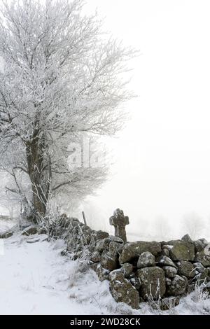 Altopiano di Aubrac. Attraversamento di un sentiero in pietra in inverno. Lozere. Occitanie. Francia Foto Stock