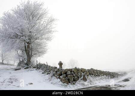 Altopiano di Aubrac. Attraversamento di un sentiero in pietra in inverno. Lozere. Occitanie. Francia Foto Stock