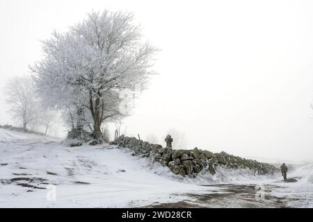 Altopiano di Aubrac. Attraversamento di un sentiero in pietra in inverno. Lozere. Occitanie. Francia Foto Stock