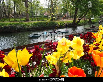 Primavera a Oxford Foto Stock