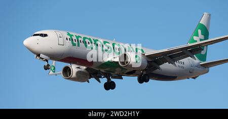 Tenerife, Spagna 17 gennaio 2024. Boeing 737-8K2 Transavia Airlines vola nel cielo blu. Atterraggio all'aeroporto di Tenerife Foto Stock