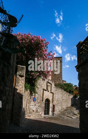 Casa Fuerte de Luis de Chaves El Viejo vista da una stradina stretta. Trujillo, Estremadura, Spagna Foto Stock