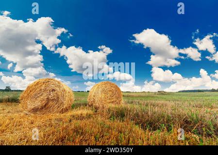 Due balle rotonde di paglia in un campo contro un cielo blu con nuvole bianche. Raccolta del grano. Foto Stock