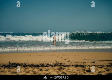 Lumahai Beach è un paradiso appartato situato sulla riva nord di Kauai, Hawaii. Foto di alta qualità Foto Stock