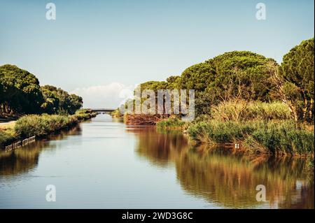 Paesaggio del delta del fiume Rodano, Camargue, riserva nazionale, Francia Foto Stock