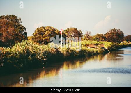 Paesaggio del delta del fiume Rodano, Camargue, riserva nazionale, Francia Foto Stock