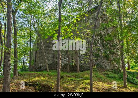 Vista del castello di Giresun. Turchia Foto Stock