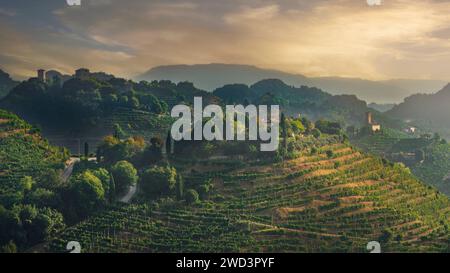 Colline del Prosecco, vigneti e chiesa di San Lorenzo e Credazzo Torri all'alba. Sito UNESCO. Farra di Soligo. Veneto, Italia, Europa. Foto Stock