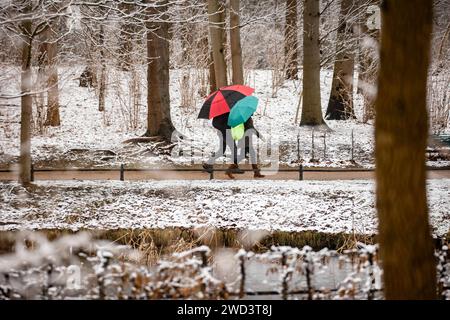 Ein Paar mit bunten Regenschirmen läuft m verschneiten Tiergarten a Berlino am 5. Januar 2024. Schneefall a Berlino *** Una coppia con ombrelloni colorati cammina nel nevoso Tiergarten a Berlino il 5 gennaio 2024 Foto Stock