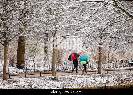 Ein Paar mit bunten Regenschirmen läuft m verschneiten Tiergarten a Berlino am 5. Januar 2024. Schneefall a Berlino *** Una coppia con ombrelloni colorati cammina nel nevoso Tiergarten a Berlino il 5 gennaio 2024 Foto Stock