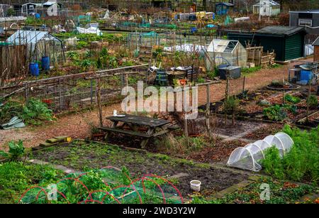 Giardini di riparto in una zona residenziale di Amersfoort, Paesi Bassi Foto Stock