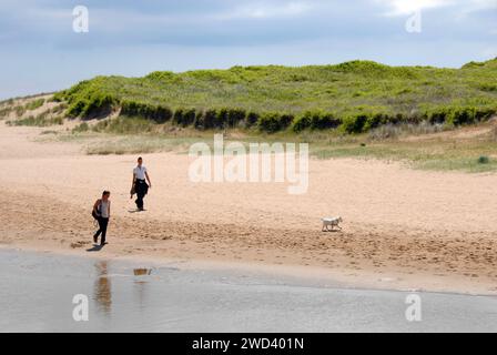 Due persone che camminano un piccolo cane bianco su una spiaggia sabbiosa Foto Stock