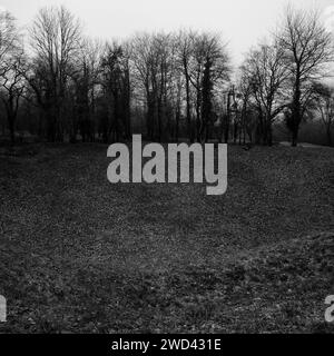 Paesaggio segnato dalla guerra, campo di battaglia di Verdun, Les Eparges, Mosa, regione del Grand-Est, Francia Foto Stock