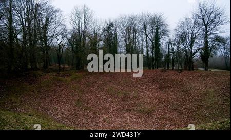 Paesaggio segnato dalla guerra, campo di battaglia di Verdun, Les Eparges, Mosa, regione del Grand-Est, Francia Foto Stock