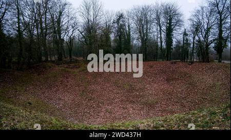 Paesaggio segnato dalla guerra, campo di battaglia di Verdun, Les Eparges, Mosa, regione del Grand-Est, Francia Foto Stock