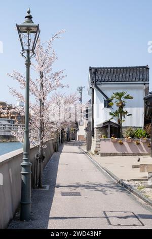 Vista della fioritura dei ciliegi lungo il percorso lungo il fiume Kasano, Kanazawa, distretto di Ishikawa, Giappone Foto Stock