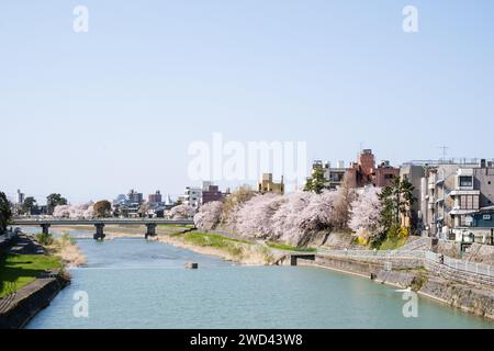 Vista dal ponte Saigawa-Ōhashi, Kanazawa, distretto di Ishikawa, Giappone Foto Stock