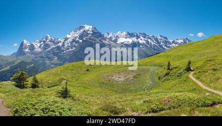 Il panorama delle alpi Bernesi con il Monch, Eiger e Jungfrau e anche Gletscherhorn, Ebenfluh, Mittaghorn Grosshorn cime sui prati alpini da Foto Stock