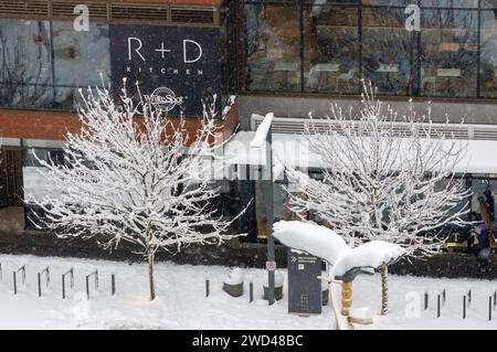 Una tempesta di neve ha gettato una coltre di neve su Brentwood e sul Brentwood Shopping Center. Vista dalla Torre 1 dell'incredibile complesso di Brentwood. Foto Stock