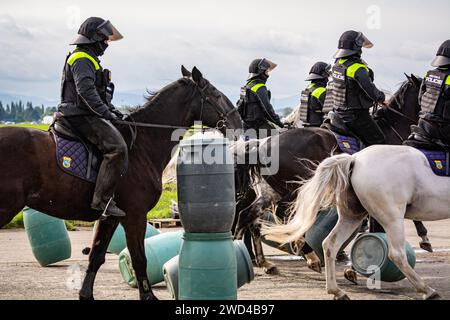 Polizia antisommossa a cavallo. Gli agenti di polizia della Repubblica Ceca cavalcavano i loro manzi contro una folla di manifestanti durante una manifestazione. Foto Stock