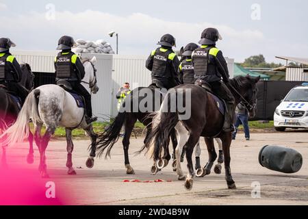 Polizia antisommossa a cavallo. Gli agenti di polizia della Repubblica Ceca cavalcavano i loro manzi contro una folla di manifestanti durante una manifestazione. Foto Stock