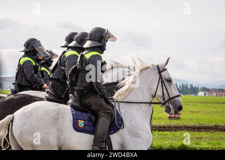 Polizia antisommossa a cavallo. Gli agenti di polizia della Repubblica Ceca cavalcavano i loro manzi contro una folla di manifestanti durante una manifestazione. Foto Stock