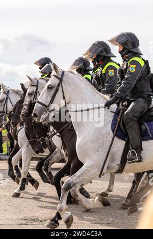 Polizia antisommossa a cavallo. Gli agenti di polizia della Repubblica Ceca cavalcavano i loro manzi contro una folla di manifestanti durante una manifestazione. Foto Stock