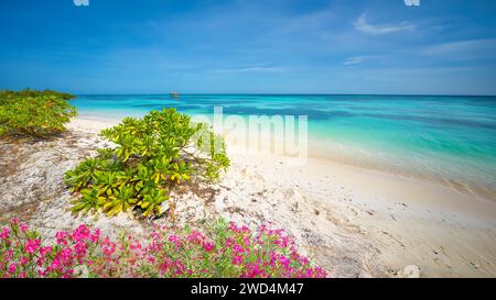 Una spiaggia delle Maldive che mostra la sabbia e l'acqua limpida. Foto Stock